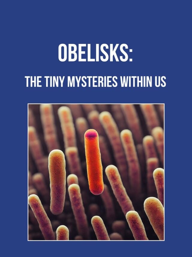 Obelisks