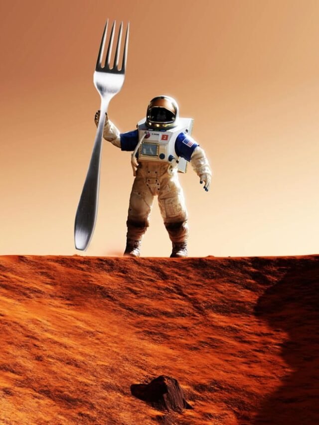 What Will the Martian Chef Prepare on Mars?